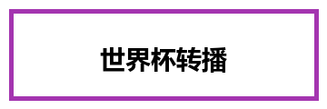 世界杯转播